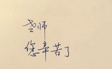 2023的教师总结6篇