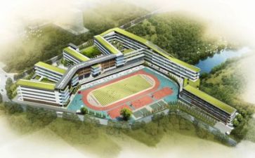 2022学校师德活动总结5篇